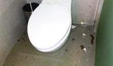 马桶人最新爆料,娱乐圈惊天内幕大曝光！